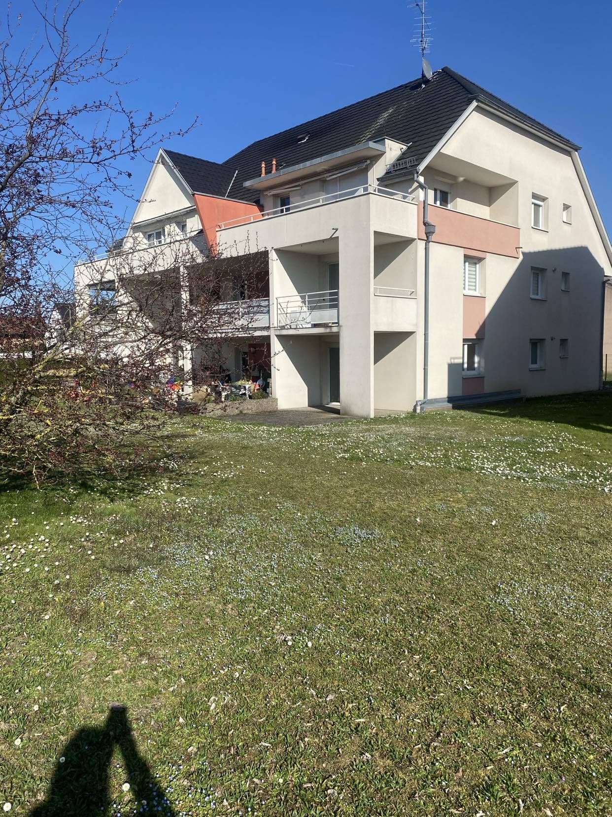 Rez de Jardin F3